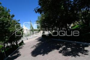 TLAXCALA . DÍA INTERNACIONAL AGUACATE