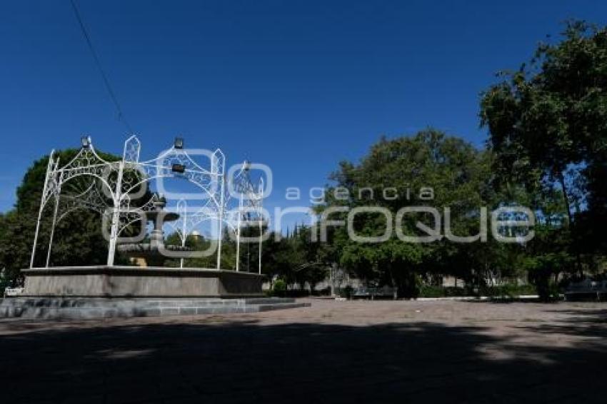 TLAXCALA . DÍA INTERNACIONAL AGUACATE
