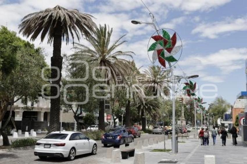 ADORNOS PATRIOS