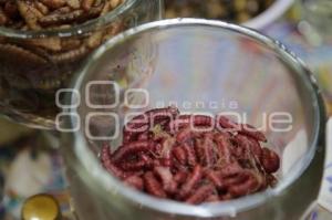 EXPO COOPERATIVA . GASTRONOMÍA EXÓTICA