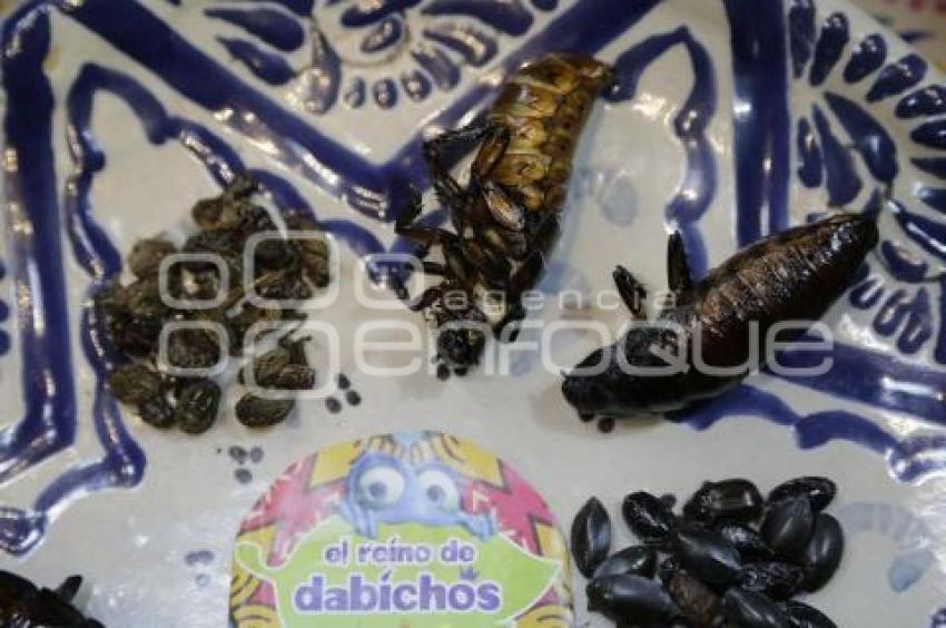 EXPO COOPERATIVA . GASTRONOMÍA EXÓTICA