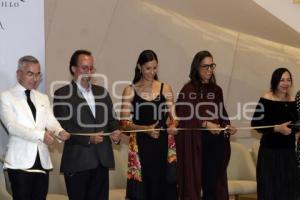 EVOCACIÓN A ELISA CARRILLO