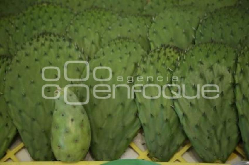 FERIA DE LA TUNA Y EL NOPAL