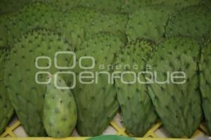 FERIA DE LA TUNA Y EL NOPAL