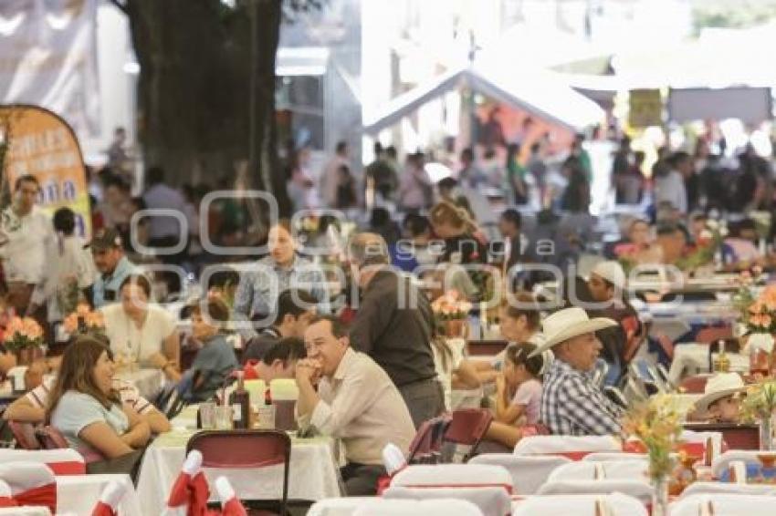 FERIA DEL CHILE EN NOGADA