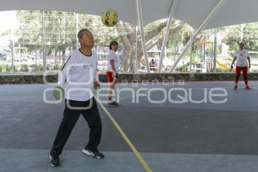 MES DEL ABUELO . CACHIBOL
