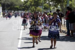 CARRERA DE LA TORTILLA