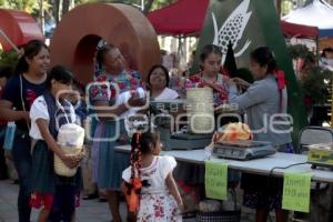CARRERA DE LA TORTILLA