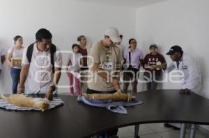 SEMANA DEL BIENESTAR ANIMAL