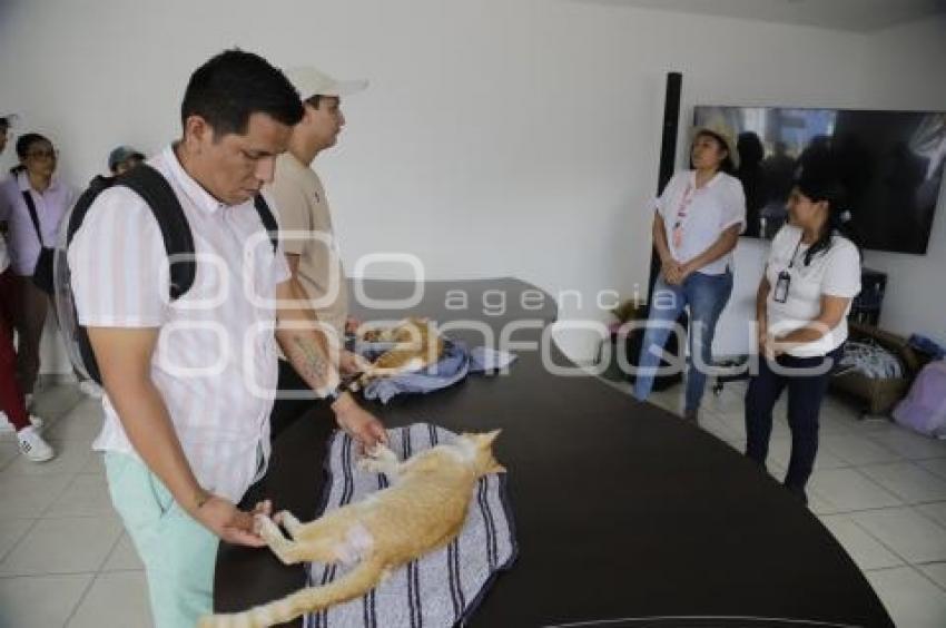SEMANA DEL BIENESTAR ANIMAL