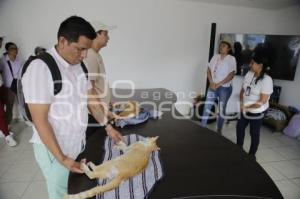 SEMANA DEL BIENESTAR ANIMAL