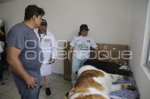 SEMANA DEL BIENESTAR ANIMAL