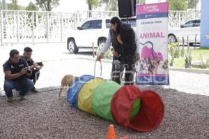 SEMANA DEL BIENESTAR ANIMAL