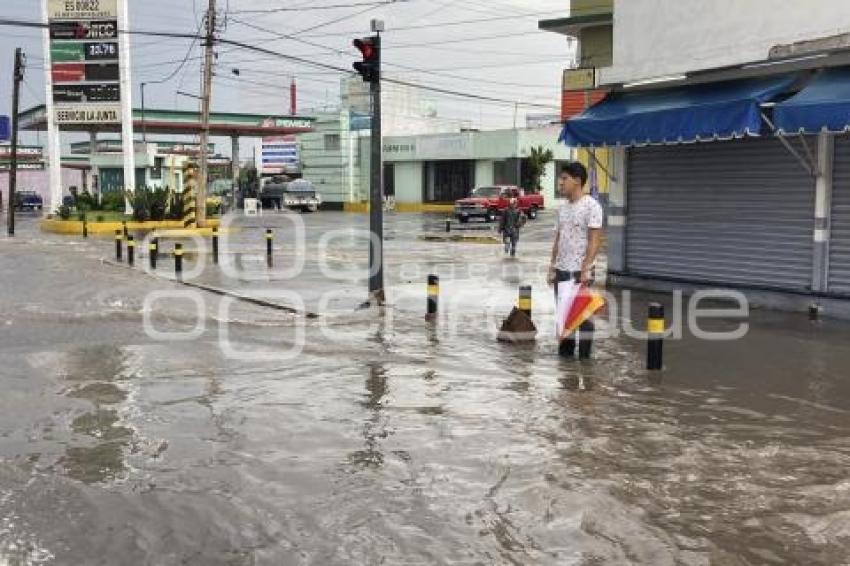 AVENIDA REFORMA . INUNDACIONES