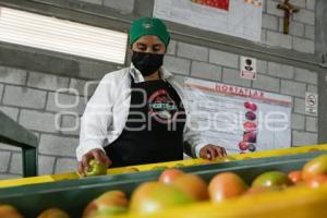 TLAXCALA . PRODUCTORA HORTATLAX