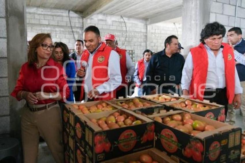 TLAXCALA . BANDERAZO PRODUCCIÓN JITOMATE