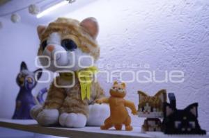 GATO MEXA