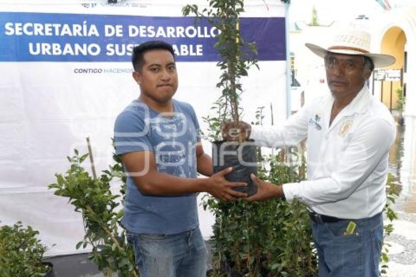 SAN ANDRÉS CHOLULA . JUEVES CIUDADANO