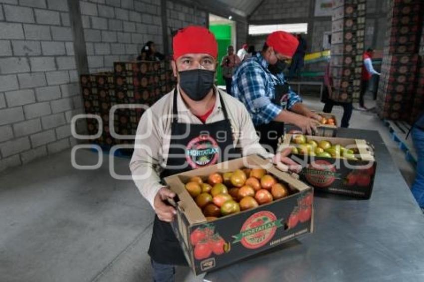 TLAXCALA . PRODUCTORA HORTATLAX