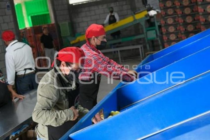 TLAXCALA . PRODUCTORA HORTATLAX
