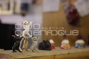 GATO MEXA