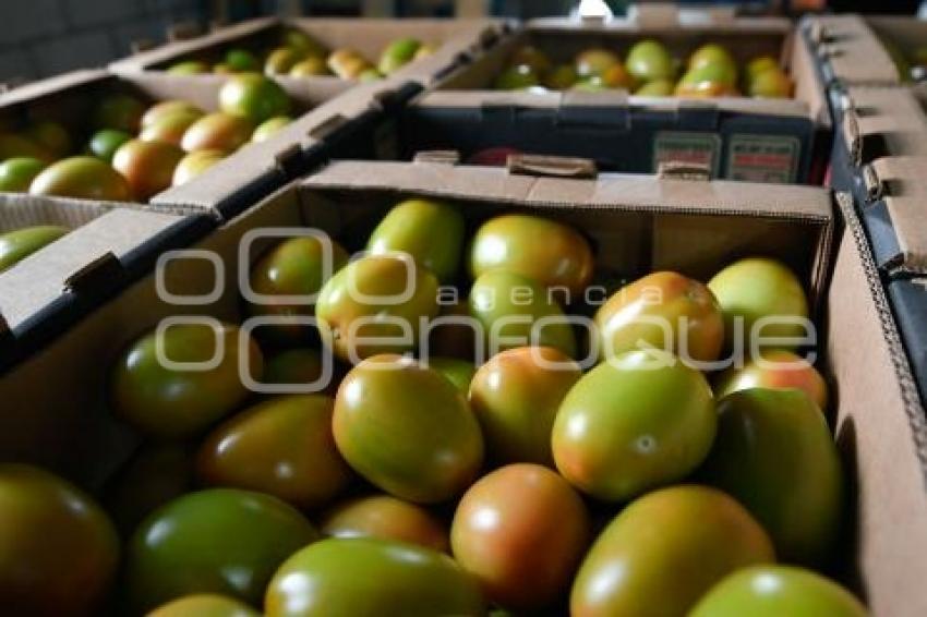 TLAXCALA . PRODUCTORA HORTATLAX