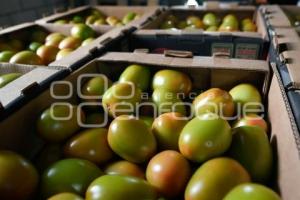 TLAXCALA . PRODUCTORA HORTATLAX