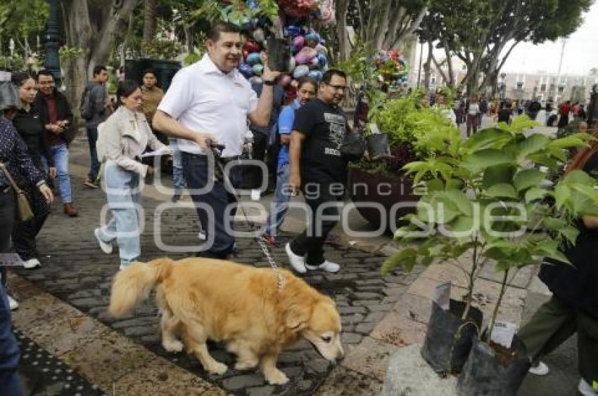 PROGRAMA . SEMBRANDO ESPERANZA