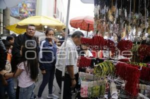 VENDIMIA . FIESTA NIÑO CIEGUITO