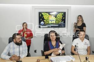 CONGRESO . FERIA DEL ELOTE