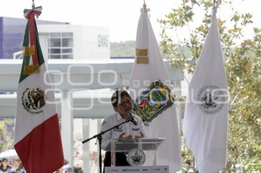 BUAP . LILIA CEDILLO