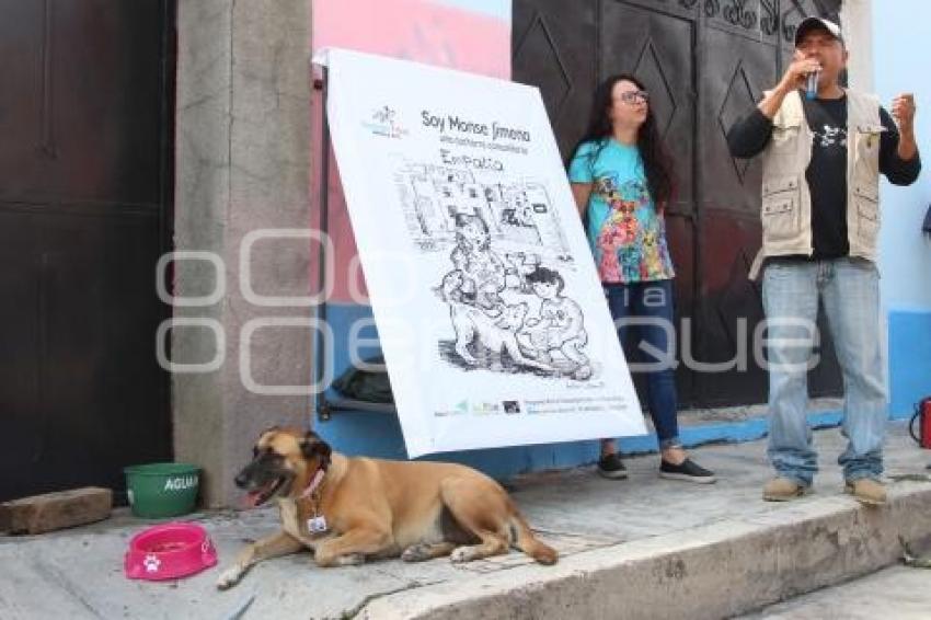 ATLIXCO . CASA COMUNITARIA PERRITA