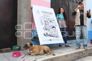 ATLIXCO . CASA COMUNITARIA PERRITA