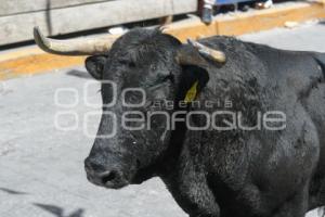 TLAXCALA . HUAMANTLADA 2024