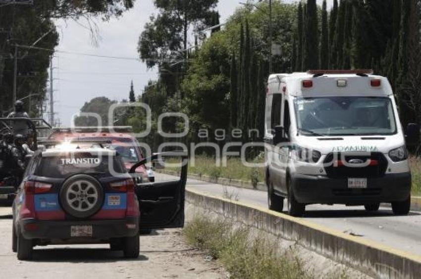 RUTA . MENOR ATROPELLADO