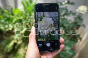 DÍA INTERNACIONAL FOTOGRAFÍA