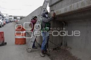 DISTRIBUIDOR CENTRAL DE ABASTO