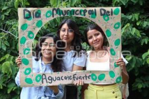 ATLIXCO . DÍA AGUACATE FUERTE