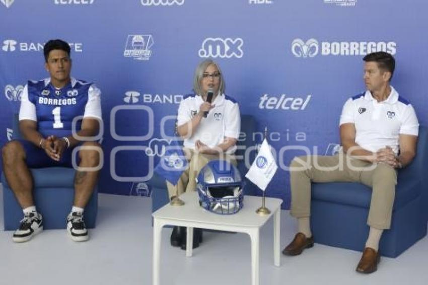 BORREGOS ITESM . PRESENTACIÓN