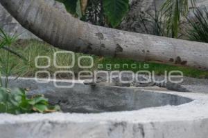TLAXCALA . ZOOLÓGICO ALTIPLANO
