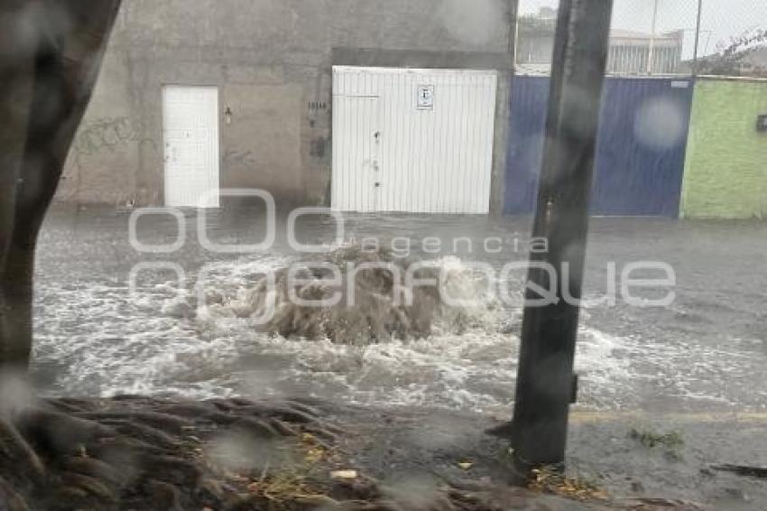 LLUVIA