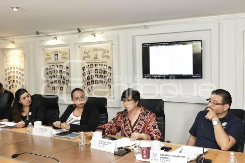 COMISIÓN GOBERNACIÓN Y PUNTOS CONSTITUCIONALES