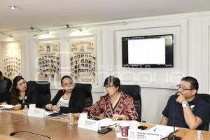 COMISIÓN GOBERNACIÓN Y PUNTOS CONSTITUCIONALES