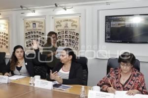 COMISIÓN GOBERNACIÓN Y PUNTOS CONSTITUCIONALES