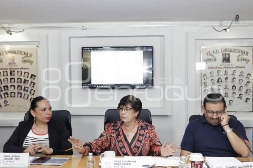 COMISIÓN GOBERNACIÓN Y PUNTOS CONSTITUCIONALES