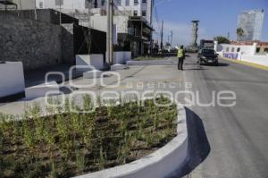 AYUNTAMIENTO . OBRA . BULEVAR AARÓN MERINO