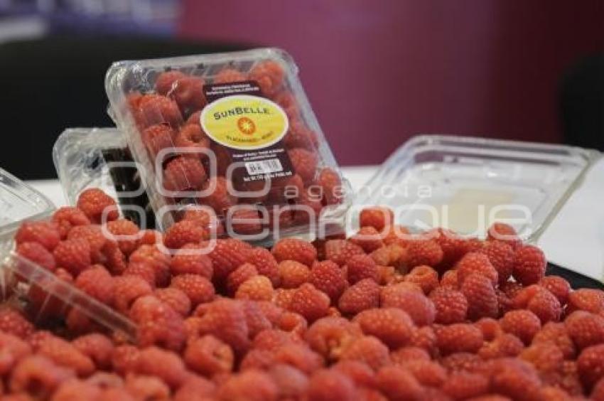 TURISMO . FERIA DE BERRIES
