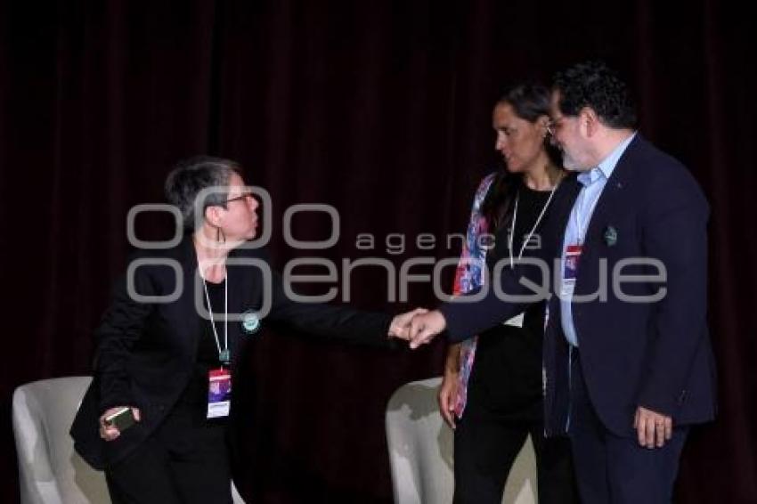 FESTIVAL DE MUSEOS 2024