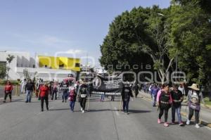 MANIFESTACIÓN . 28 DE OCTUBRE