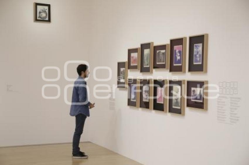 EXPOSICIÓN . HELEN ESCOBEDO